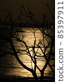 Landscape of Miura Coast 85397911