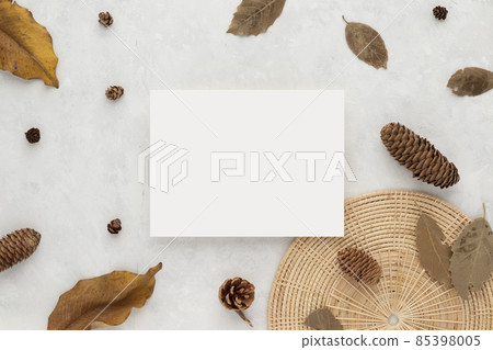 Autumn composition, dried leaves. cotton flowers and pine cones on white background. Flat lay, top view with copy space Autumn composition, dried leaves. cotton flowers and pine cones on white background. Flat lay, top view with copy space 85398005