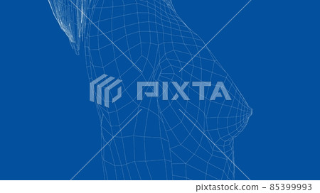 Wireframe female breast. Close-up view 85399993