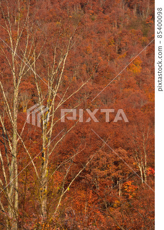 Mountains of autumn leaves 85400098