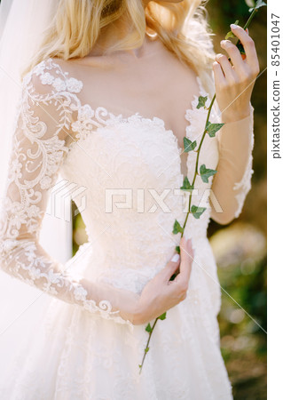 Bride in a white dress with an ivy twig in her hands Bride in a white dress with an ivy twig in her hands 85401047