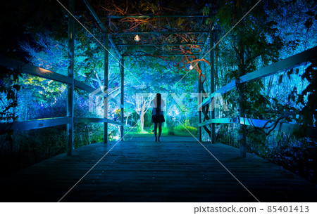 The world of aqua blue spreading beyond the bridge The world of aqua blue spreading beyond the bridge 85401413