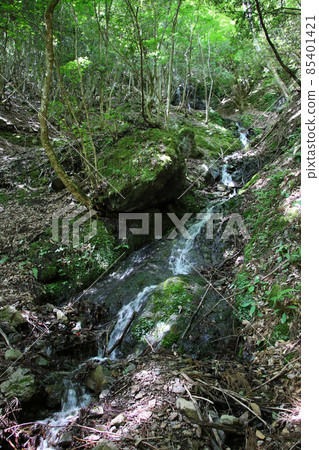 Tendaki A famous waterfall selected as one of the 100 best waterfalls in Japan in Oya-cho, Yabu City, Hyogo Prefecture. Tendaki A famous waterfall selected as one of the 100 best waterfalls in Japan in Oya-cho, Yabu City, Hyogo Prefecture. 85401421