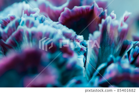 Retro art, vintage card and botanical concept - Abstract floral background, blue carnation flower. Macro flowers backdrop for holiday brand design 85401682