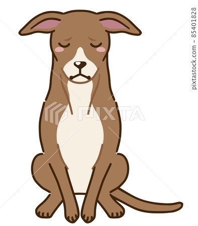 Depressed Italian Greyhound (Red) Depressed Italian Greyhound (Red) 85401828