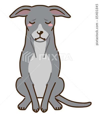 Depressed Italian Greyhound (gray) 85401845