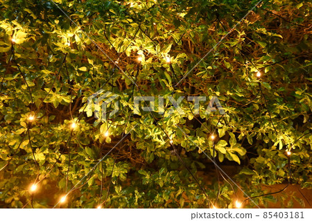 聖誕燈,聖誕節,聖誕樹,聖誕葉子,美麗的燈,正拍 85403181