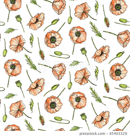 Poppies on white. Repeating flowers print in vintage style. Ink and watercolor 85403329