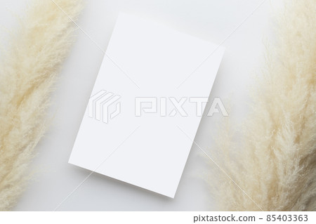 White invitation card mockup with a pampas grass on grey background, Minimal grey workplace composition, flat lay, mockup White invitation card mockup with a pampas grass on grey background, Minimal grey workplace composition, flat lay, mockup 85403363