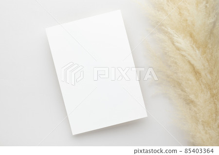 White invitation card mockup with a pampas grass on grey background, Minimal grey workplace composition, flat lay, mockup 85403364