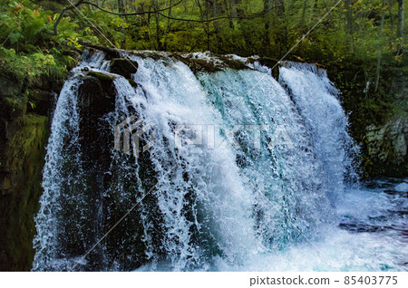Oirase stream Oirase stream 85403775