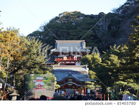 鶴岡八幡宮 85403780