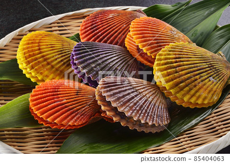 Hiogikai Hiogikai 85404063