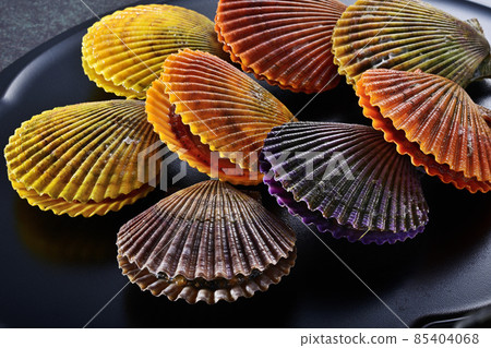 Hiogikai Hiogikai 85404068