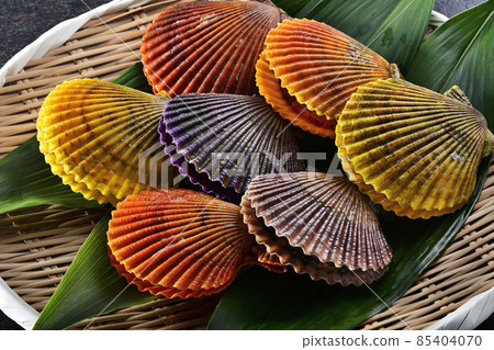 Hiogikai Hiogikai 85404070