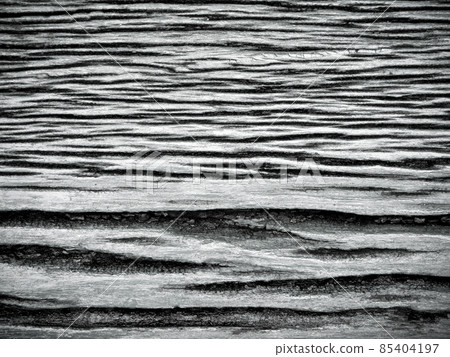 Texture surface of old wooden board Texture surface of old wooden board 85404197