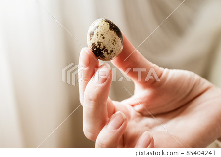 Woman holds small spotted egg in her hand, close up Woman holds small spotted egg in her hand, close up 85404241