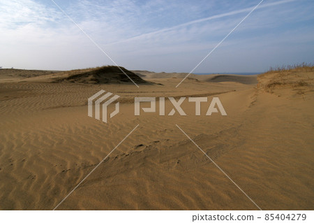 Tottori Four seasons walk winter Tottori sand dunes 85404279