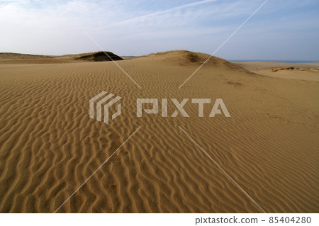 Tottori Four seasons walk winter Tottori sand dunes 85404280
