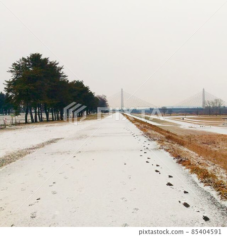 北海道帶廣市郊河床雪道 北海道帶廣市郊河床雪道 85404591