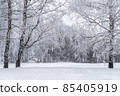 Winter snowy landscape with trees covered with frost and snow 85405919