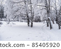 Winter snowy landscape with trees covered with frost and snow 85405920
