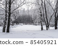 Winter snowy landscape with trees covered with frost and snow 85405921