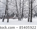 Winter snowy landscape with trees covered with frost and snow 85405922