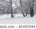 Winter snowy landscape with trees covered with frost and snow 85405944