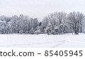 Winter snowy landscape with trees covered with frost and snow 85405945