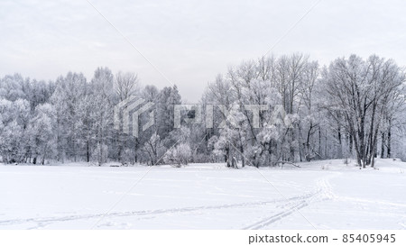 Winter snowy landscape with trees covered with frost and snow 85405945