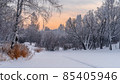 Winter snowy landscape with trees covered with frost and snow 85405946