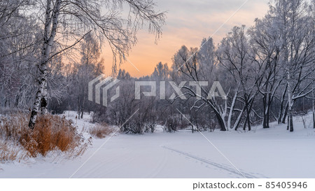 Winter snowy landscape with trees covered with frost and snow 85405946