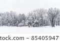 Winter snowy landscape with trees covered with frost and snow 85405947
