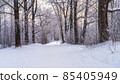 Winter snowy landscape with trees covered with frost and snow 85405949