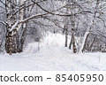 Winter snowy landscape with trees covered with frost and snow 85405950