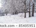 Winter snowy landscape with trees covered with frost and snow 85405951