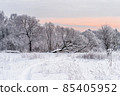 Winter snowy landscape with trees covered with frost and snow 85405952