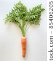 有土壤和葉子的胡蘿蔔 85406205