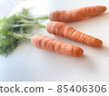 簡單的胡蘿蔔 85406306
