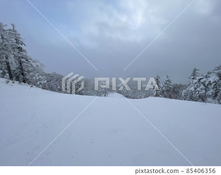 2021 年 12 月福島縣 Grandeko 滑雪場 2021 年 12 月福島縣 Grandeko 滑雪場 85406356