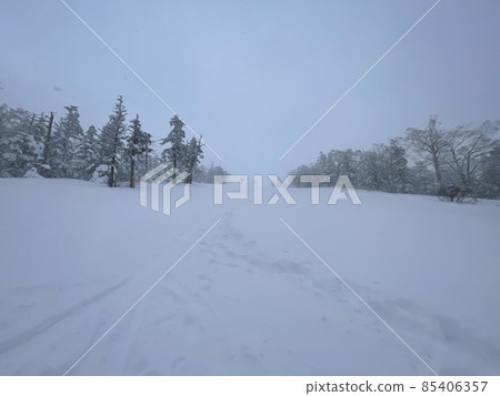 2021 年 12 月福島縣 Grandeko 滑雪場 2021 年 12 月福島縣 Grandeko 滑雪場 85406357
