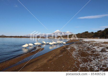 2021年12月從福島縣豬苗代湖看到的萬代山和天鵝 85406528