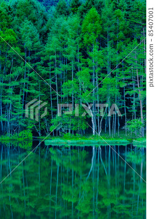 Mishakaike Pond (Summer) 85407001