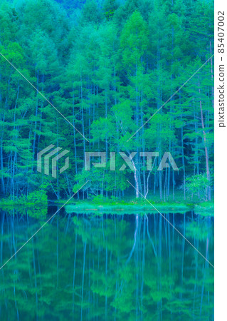Mishakaike Pond (Summer) 85407002