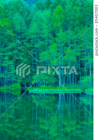 三石池（夏季） 85407003