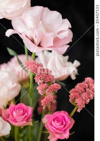 粉紅色的花朵愛情運氣顏色設置洋桔梗玫瑰靜態 85407533