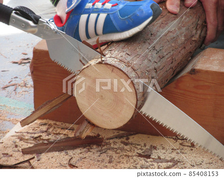 Log cutting Log cutting 85408153