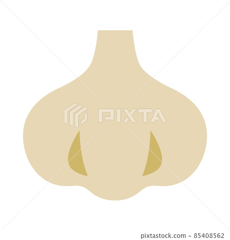 Garlic vegetable icon 85408562