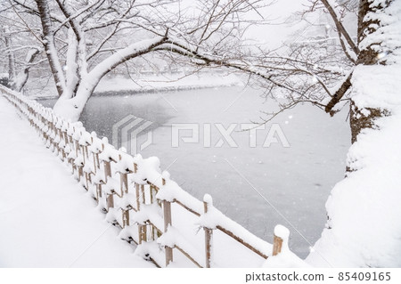 敦賀城公園的雪景(護城河) 敦賀城公園的雪景(護城河) 85409165